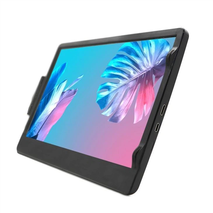 Portable Display (10)