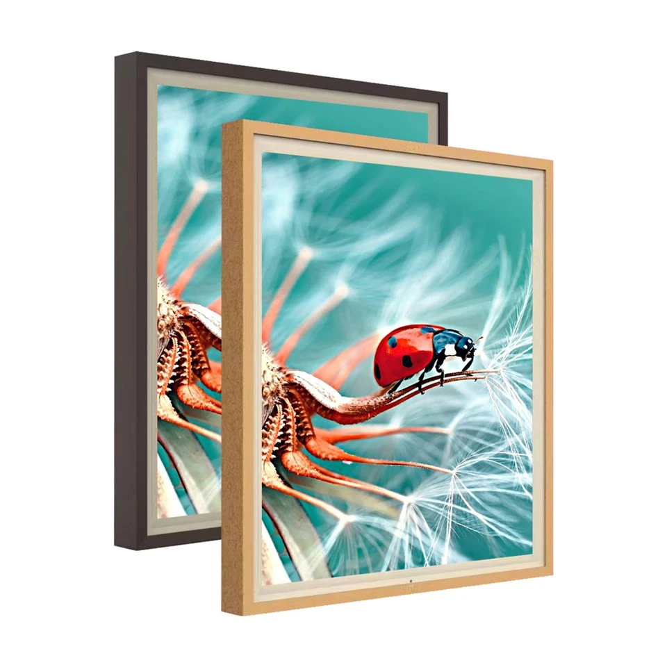 Special Design High Color Gamnut 4K 29.5 Inch 1: 1 Square Qled LCD Screen Digital Artwork Display For Museum, Gallery, Nft Collectors manufacturers